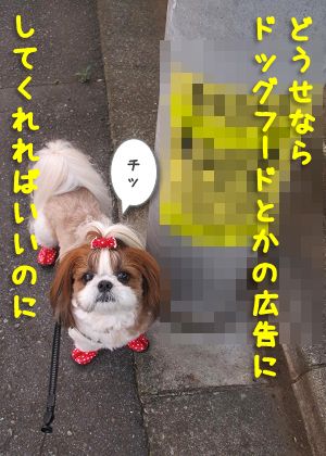 電柱に貼られた広告 愛犬家の目線を考えた広告の種類と貼り方