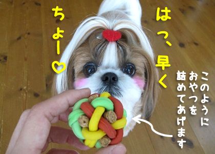 マカロニラバーボール 1 おやつを押し込んでしまって取れない犬