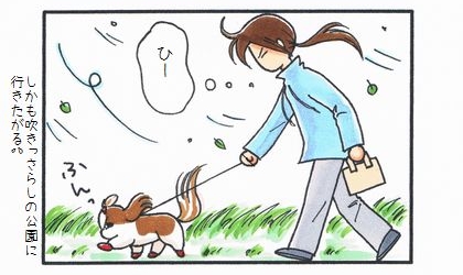 強風の中での犬とのお散歩。しかも犬は吹きっさらしの公園に行きたがる