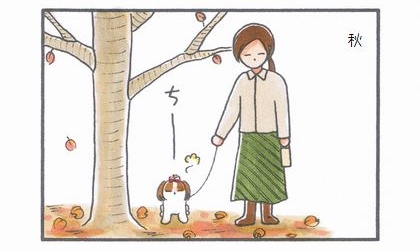 秋。犬が桜の木の下でおしっこ