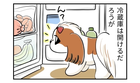 冷蔵庫は開けるだろうが。開けた冷蔵庫の中で何かを見つける犬