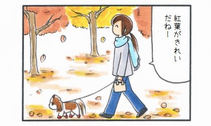 犬と公園をお散歩。紅葉がきれいだねー