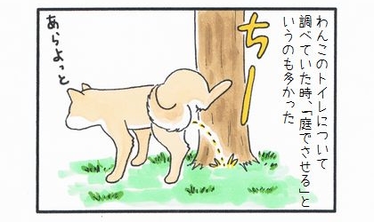 犬のトイレについて調べていた時、「庭でおしっこをさせる」というのも多かった。庭木におしっこする柴犬