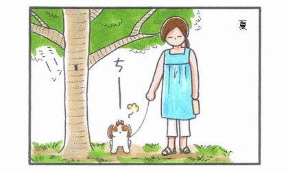 夏。犬が桜の木の下でおしっこ