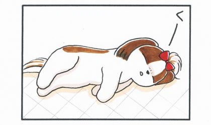 犬がラグマットの上で寝ている