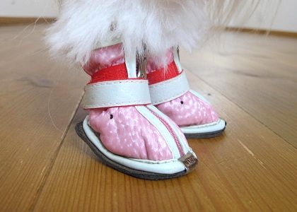 オリジナルの犬靴の履き方