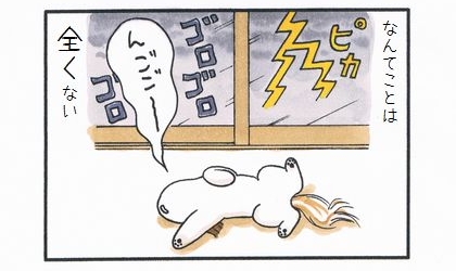 なんてことは全くない。雷が鳴り響く中、犬はいびきをかいて寝ている